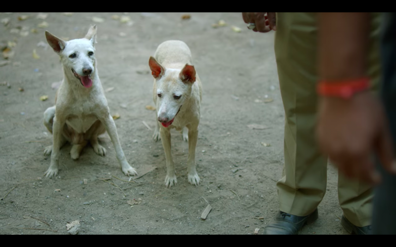 Hasmukh: Season 1 Episode 2 Recap: The Punchlines Lack Punch